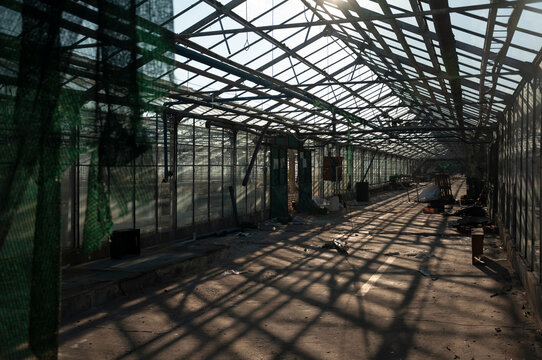 Abandoned old industrial glass greenhouse with dry dead plants and withered crops