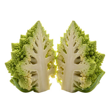 Romanesco broccoli halves on white background, fresh green romanesco cauliflower cross section, organic fractal vegetable