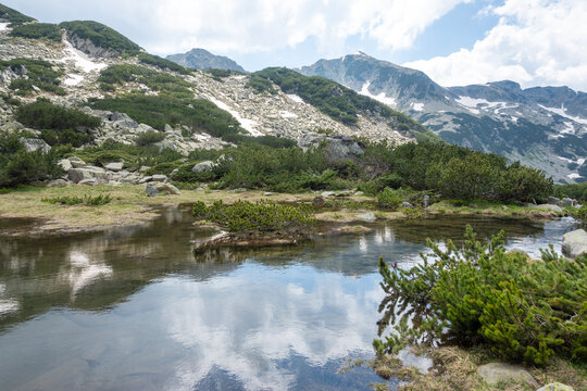 Pirin Mountain near Banderitsa Area, Bulgaria