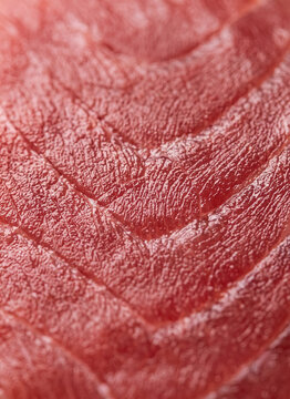 Close-up detail of fresh raw tuna fillet steak for sushi and sashimi background