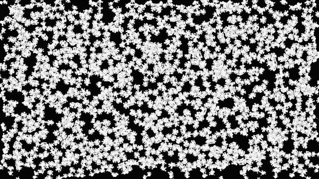 Tiny white particles moving across black background with subtle camera zoom