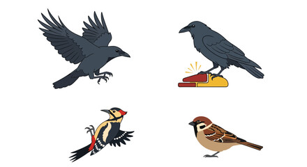 Fototapeta premium Autumn bird icon collection featuring crow raven and woodpecker