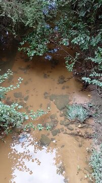 Vid lake river bed muddy water
