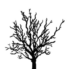 Fototapeta premium Black leafless tree silhouette on plain background illustration