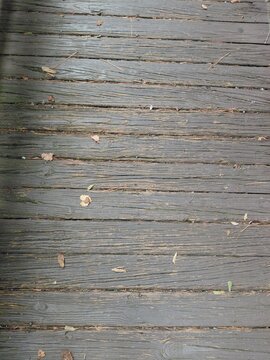 deck