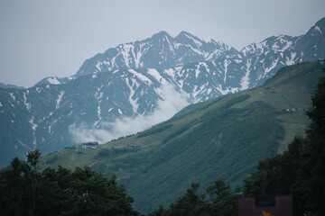 Obraz premium Snow mountain peak mist valley forest landscape alpine ridge sky, snow capped mountain peak with mist over green valley and forest, calm alpine landscape under pale sky