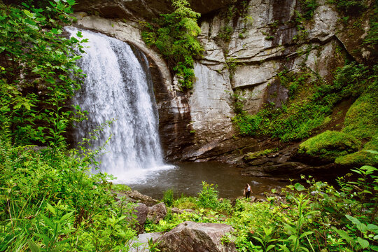 The beautiful forest waterfall Looking Glass Falls in the Blue Ridge Mountains of North Carolina in the U.S
