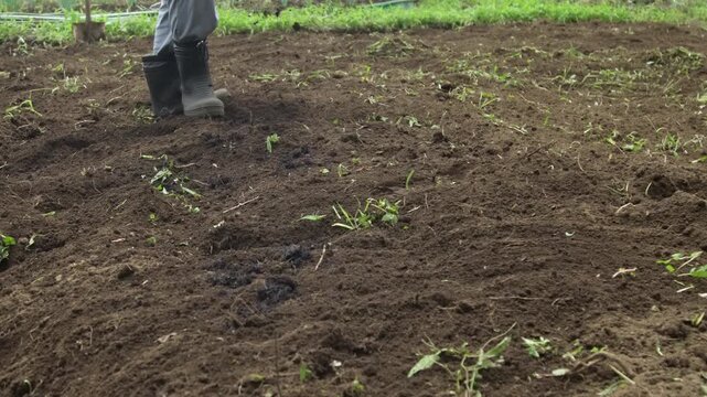 畑に堆肥を撒く男性