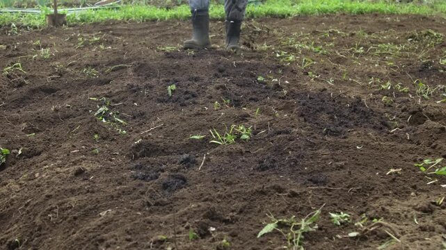 畑に堆肥を撒く男性