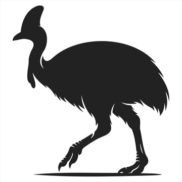 Cassowary Bird Vector Silhouette Isolated on White Background