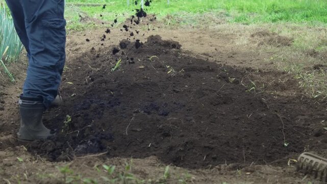 畑に堆肥を撒く男性