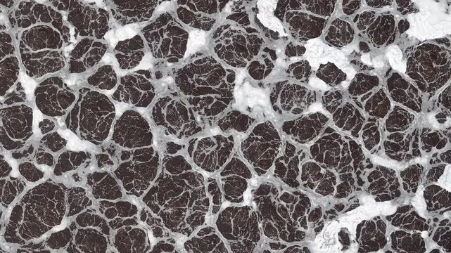 GroFrothy activated sludge and aeration foam in wastewater treatment tank.