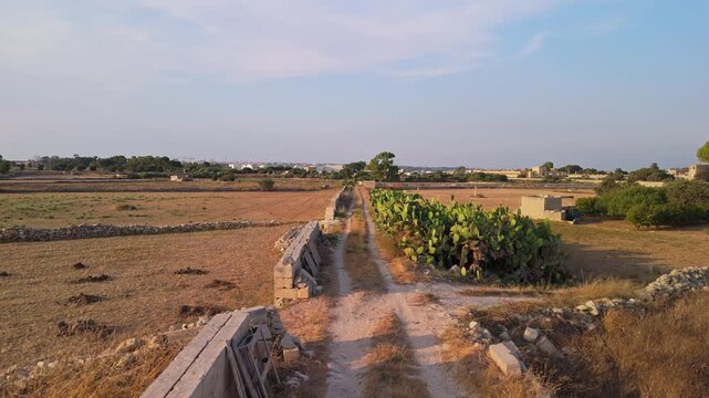 Attard, Malta farmland with divided agricultural fields, dirt roads and prickly pear cactus in the rural Mediterranean landscape on the village outskirts, aerial view.