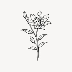 Fototapeta premium Elegant black ink flower illustration.