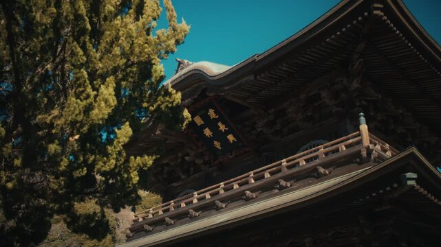 A view of the Sanmon gate's upper story at Kencho-ji temple in Kamakura, showing its inscribed plaque and detailed wooden brackets partially framed by a juniper tree, against a bright blue sky.