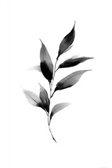 Fototapeta premium Minimalist black ink leaf illustration.