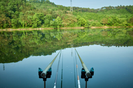 Tranquil freshwater angling scene featuring twin rods pointing toward a calm reflective lake and a mesh keepnet filled with caught crucian carp on a wooden deck capturing outdoor leisure and nature.
