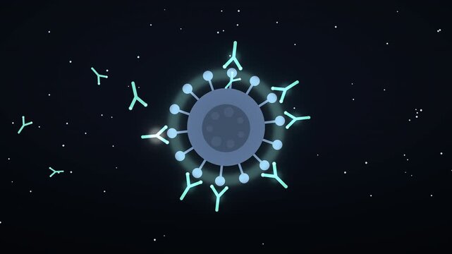 Aanimation of Y-shaped Antibodies Docking onto a Virus Cell