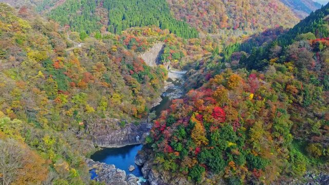 ドローンで撮る日本の風景　福井県の九頭竜川沿いの美しい紅葉と山々をゆっくり前進する空撮