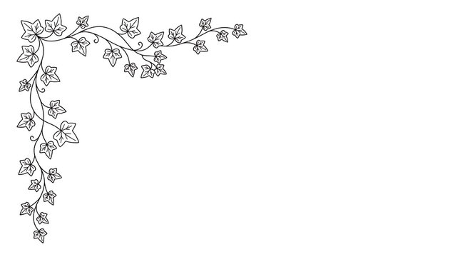 Elegant ivy vine corner border illustration with black line art on white background.