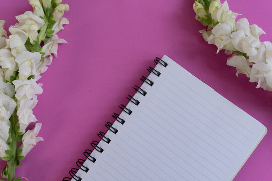 Pink background with white flowers framing a notebook. Open pages invite notes, ideas, or creativity. Soft tones evoke calm, focus, or inspiration. Perfect for journaling, planning