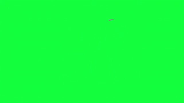 wind animation featuring soft gray airflow shapes against green