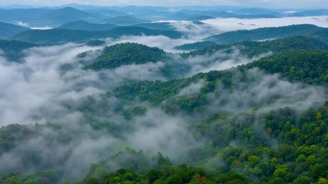 Aerial view of mist-covered forested mountains with rolling fog in valleys