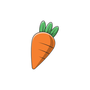 vector illustration of a carrot