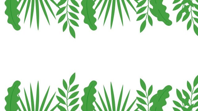 Green tropical leaves scrolling frame on white background. 4K Video