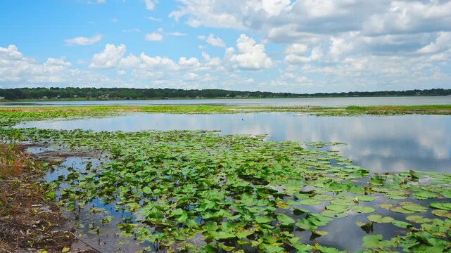 landscape of Lake Wales is a historic city in Polk County, Florida, highest point of Florida