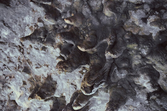 Eroded ryukyu limestone texture, cave rock close-up
