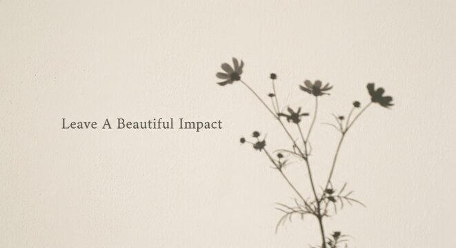 A Beautiful Impact: Minimal Flower Shadow Art on Sepia Wall