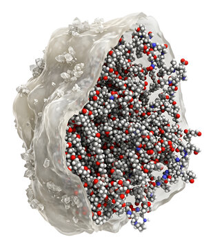 High-Resolution 3D Scientific Render of Oligomer Waxy Residue Molecular Structure