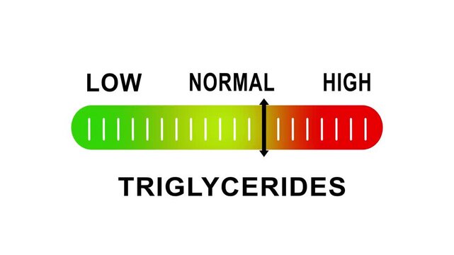 Triglycerides level indicator gauge animation: medical health diagnostic scale showing low, normal, and ranges for cholesterol and cardiovascular risk assessment