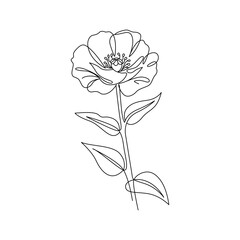 Obraz premium Simple single line art black poppy flower drawing elegant minimalist floral illustration.
