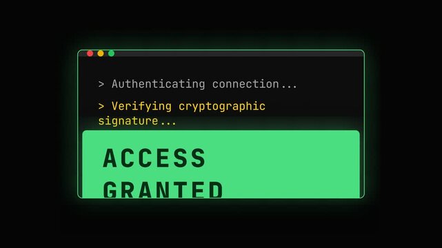 Cyber security authentication process, login credentials verification, access granted message on screen, seamless loop, symbolizing online protection and data security