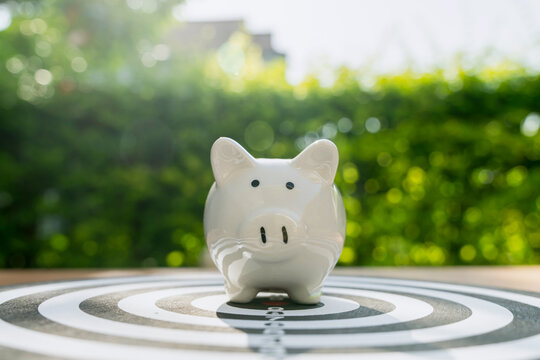 Piggy bank on a dartboard, concept for saving money for future goals.