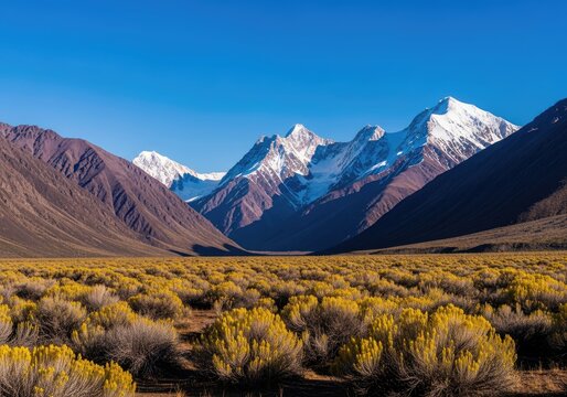 Scenic View of Snow-Capped Mountains and Arid Valley with Golden Shrubs Under a Clear Blue Sky.