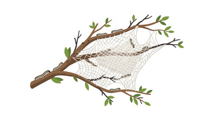 Caterpillars on Branch with Web