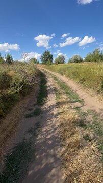 Walking POV along a dry dirt road through summer countryside, with grassy verges, mullein and thistles, poplars ahead and white cumulus clouds in a blue sky