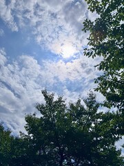 Fototapeta premium Deep Blue Sky with Small White Cumulus Clouds on a Clear Sunny Day