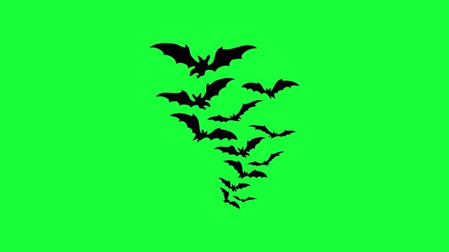 A swarm of black bats flying together isolated on a green background