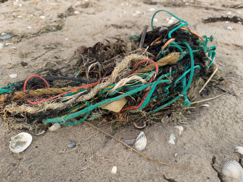 Discarded fishing ropes and marine debris washed ashore on sandy beach