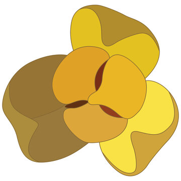 clean flat illustration of a stylized Melodorum fruticosum in full bloom front view, featuring bright yellow and warm brown petals isolated on a transparent background