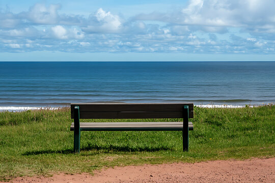 Empty park bench facing the ocean on a sunny day with peaceful coastal views and clear blue sky.