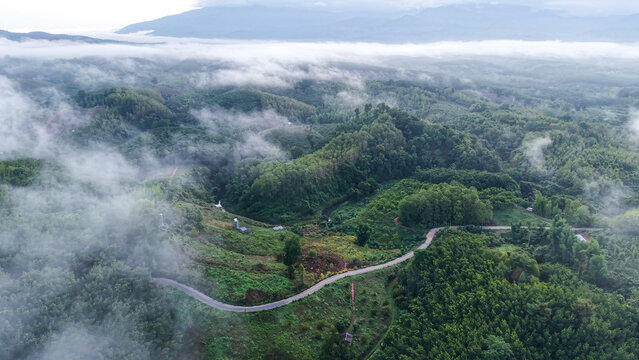 Aerial view of the greenery hills and mountain road by drone