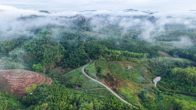 Aerial view of the greenery hills and mountain road by drone