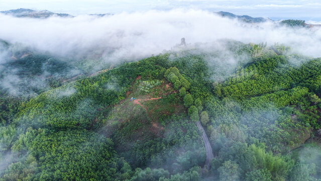 Aerial view of the greenery hills and mountain road by drone