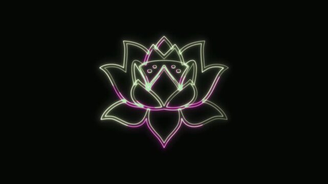  Lotus Flower Icon Neon Seamless Loop 4K with Black Background Animated Promotional Typography for Video Editing
