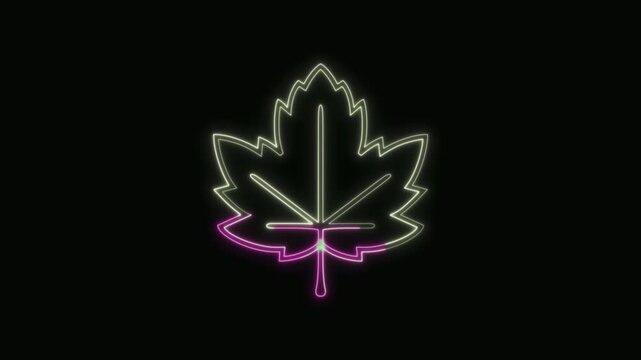  Maple Leaf Icon Neon Seamless Loop 4K with Black Background Animated Promotional Typography for Video Editing